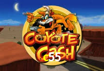 Tennis Betting c55