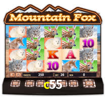 Sinta a adrenalina dos jogos de cassino com c55